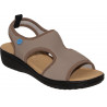 FLY FLOT 55B84 - TAUPE